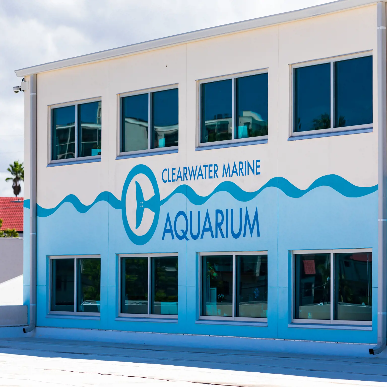 Unterstütze das Marine Aquarium mit deinem Besuch